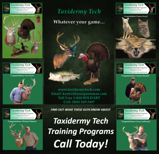 find out taxidermy tech